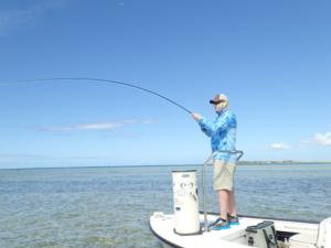 guided fly fishing trips